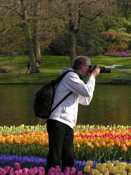 klik for at komme tilbage Her skulle have været et billede fra Keukenhof.