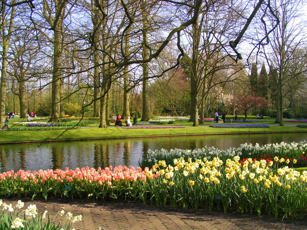 klik for at komme tilbage Her skulle have været et billede fra Keukenhof.
