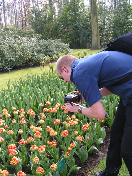 Her skulle have været et billede fra Keukenhof.