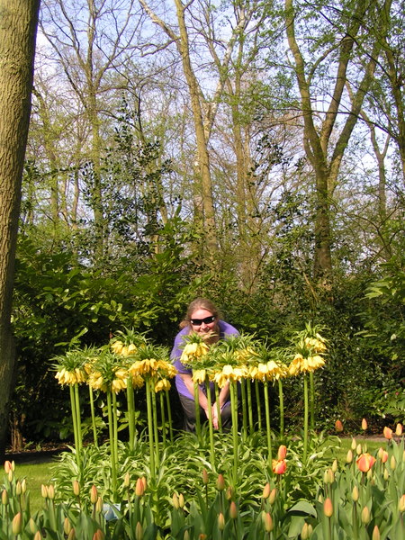 Her skulle have været et billede fra Keukenhof.