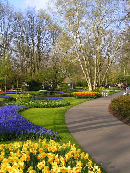 klik for at komme tilbage Her skulle have været et billede fra Keukenhof.