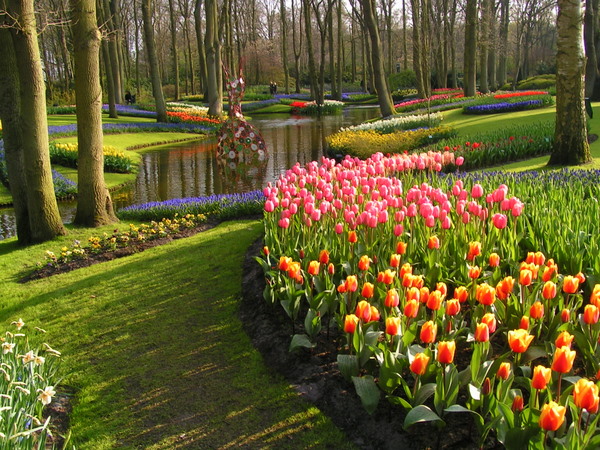 klik for at komme tilbage Her skulle have været et billede fra Keukenhof.