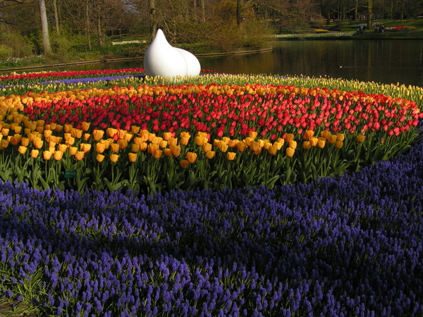 Her skulle have været et billede fra Keukenhof.