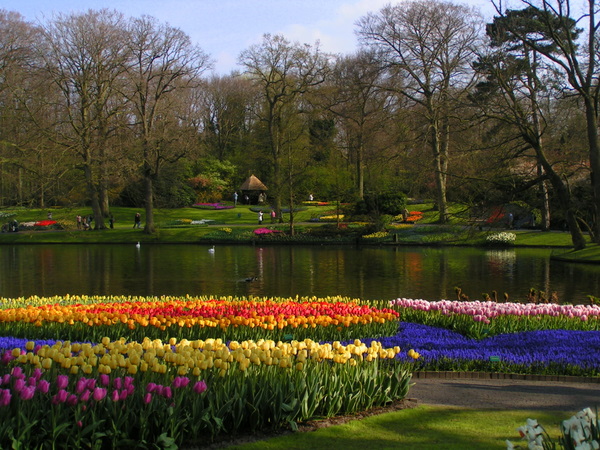 Her skulle have været et billede fra Keukenhof.